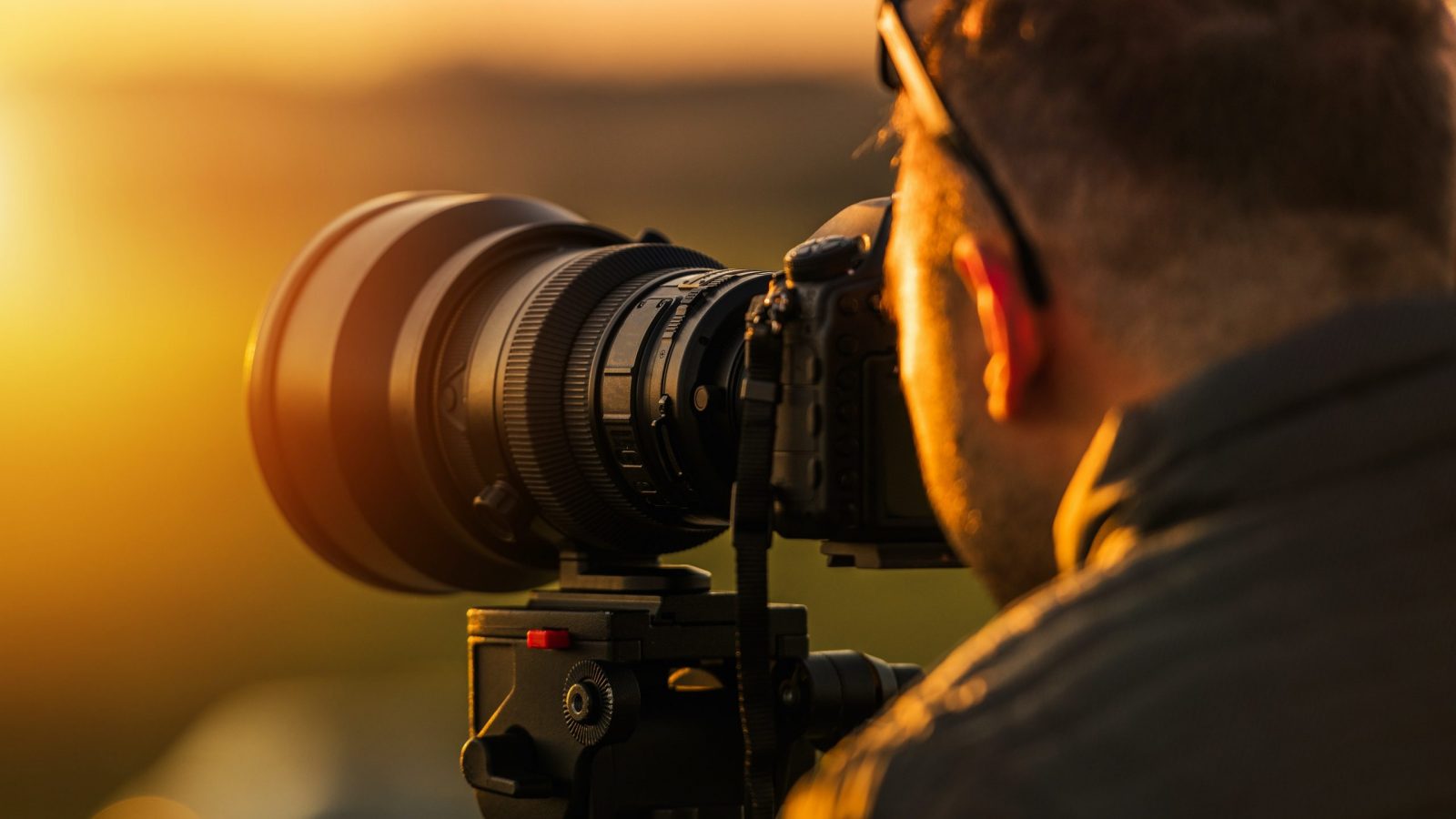 Foto: welcomia / Shutterstock via PuzzlePix